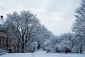 2011-01-24, Schnee (6)
